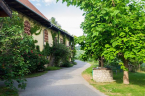 Turistična kmetija Vrezner Apartment